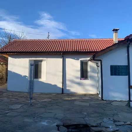 Salasuka Views * Drjanovo