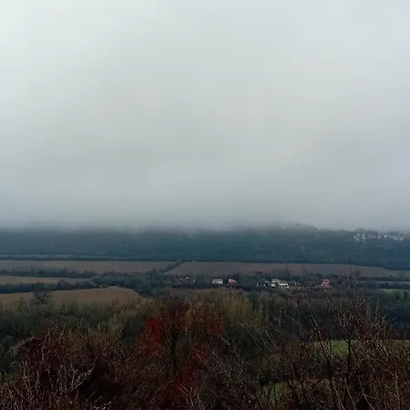 Salasuka Views *